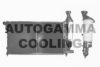 AUTOGAMMA 100195 Radiator, engine cooling